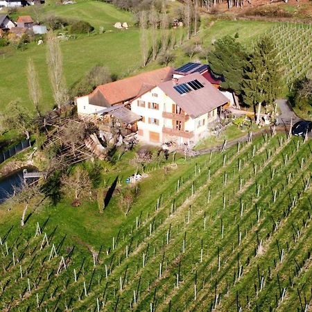 Appartement Weingut Schoberhof Bad Gleichenberg Exterior foto