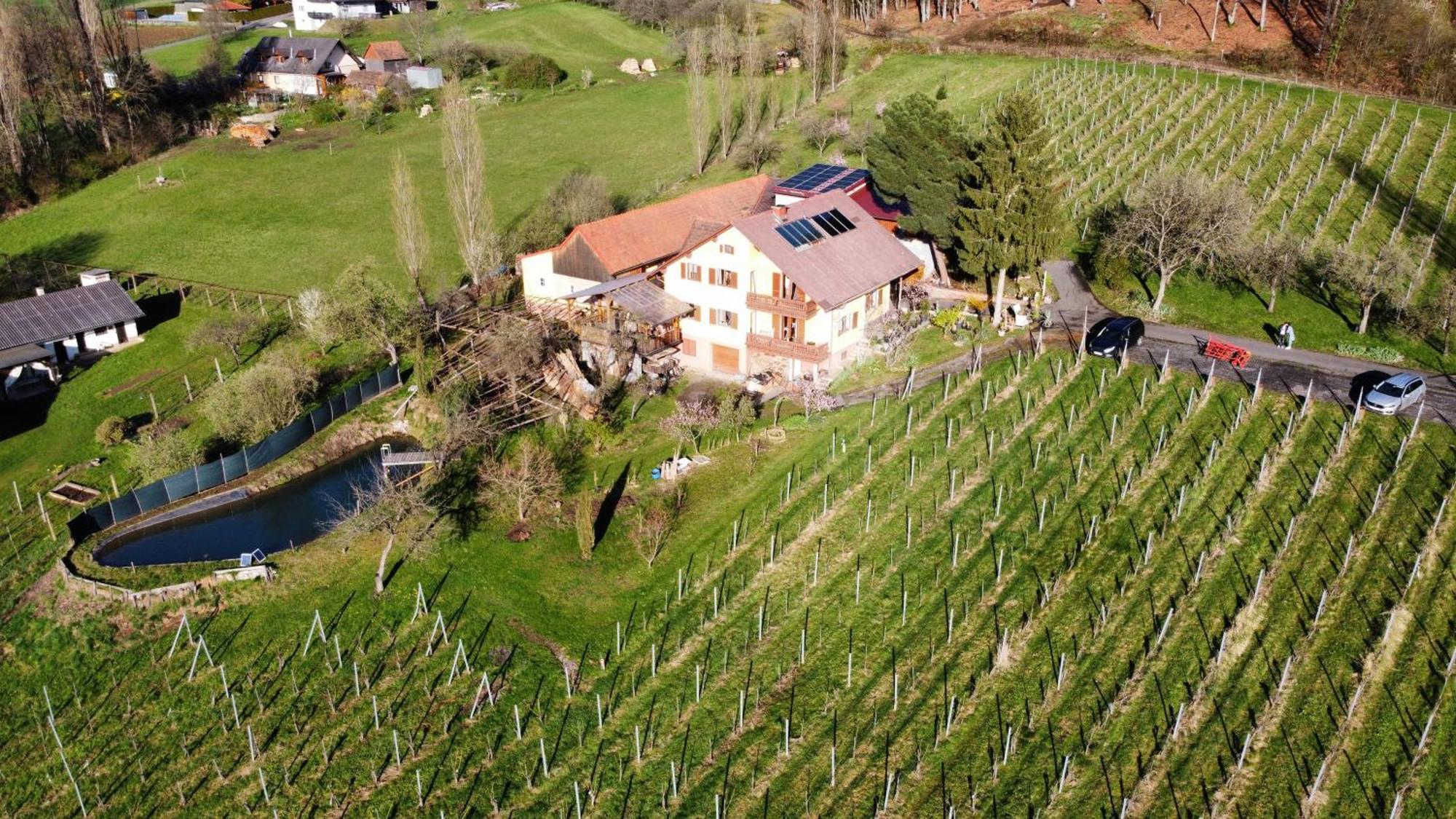 Appartement Weingut Schoberhof Bad Gleichenberg Exterior foto