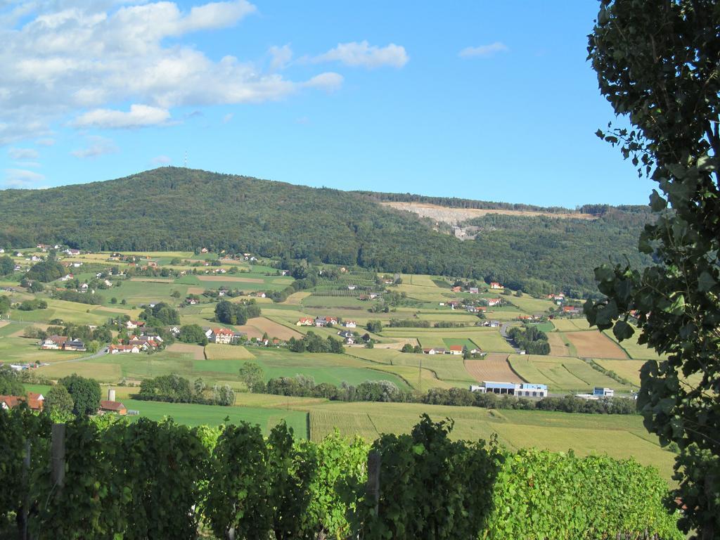 Appartement Weingut Schoberhof Bad Gleichenberg Zimmer foto