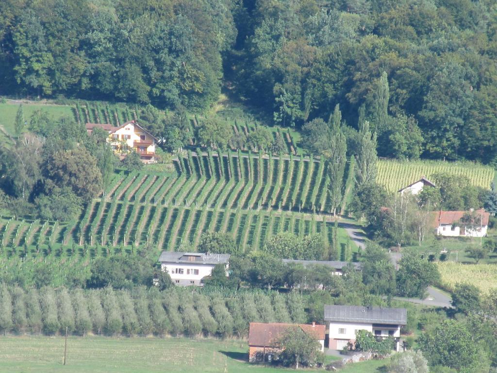 Appartement Weingut Schoberhof Bad Gleichenberg Zimmer foto