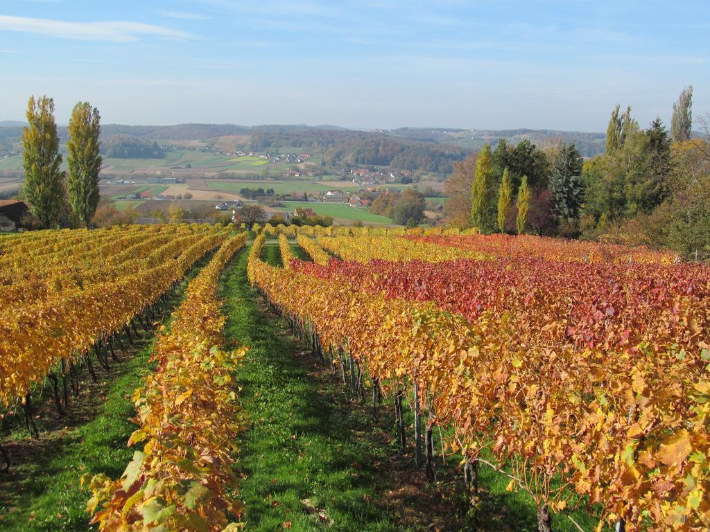 Appartement Weingut Schoberhof Bad Gleichenberg Zimmer foto