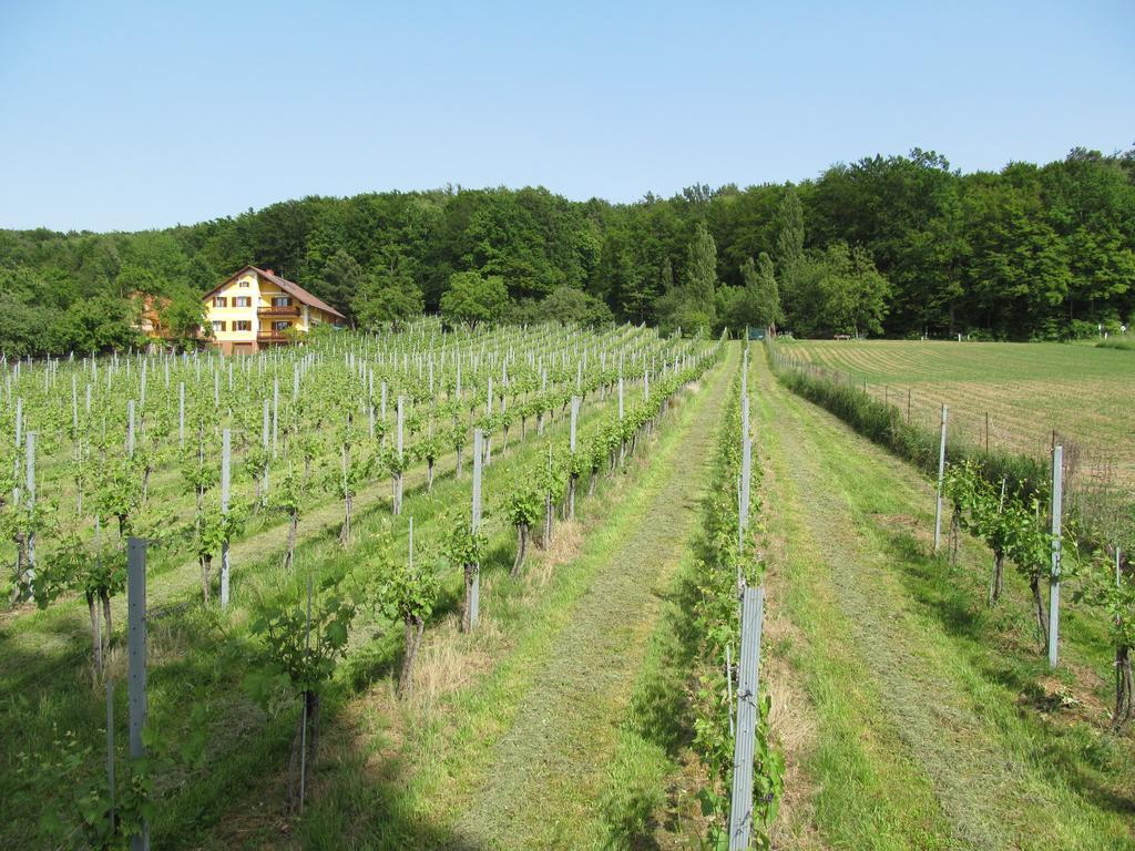 Appartement Weingut Schoberhof Bad Gleichenberg Zimmer foto