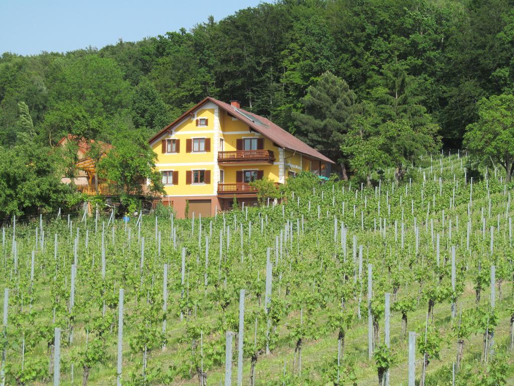 Appartement Weingut Schoberhof Bad Gleichenberg Zimmer foto