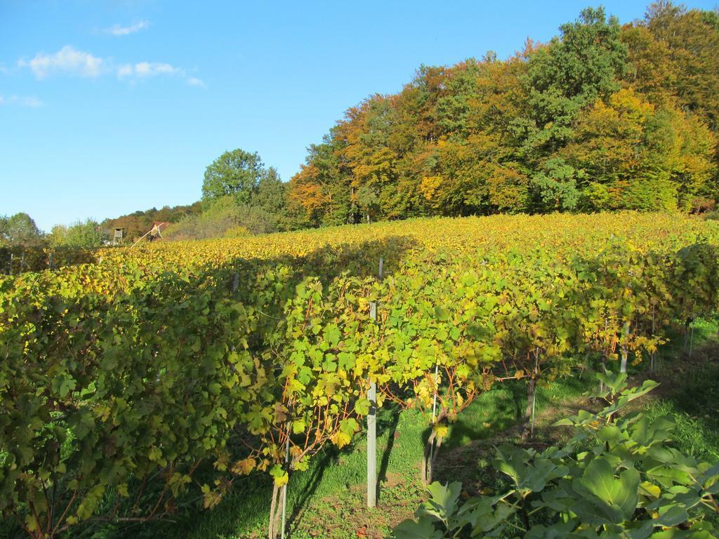 Appartement Weingut Schoberhof Bad Gleichenberg Zimmer foto