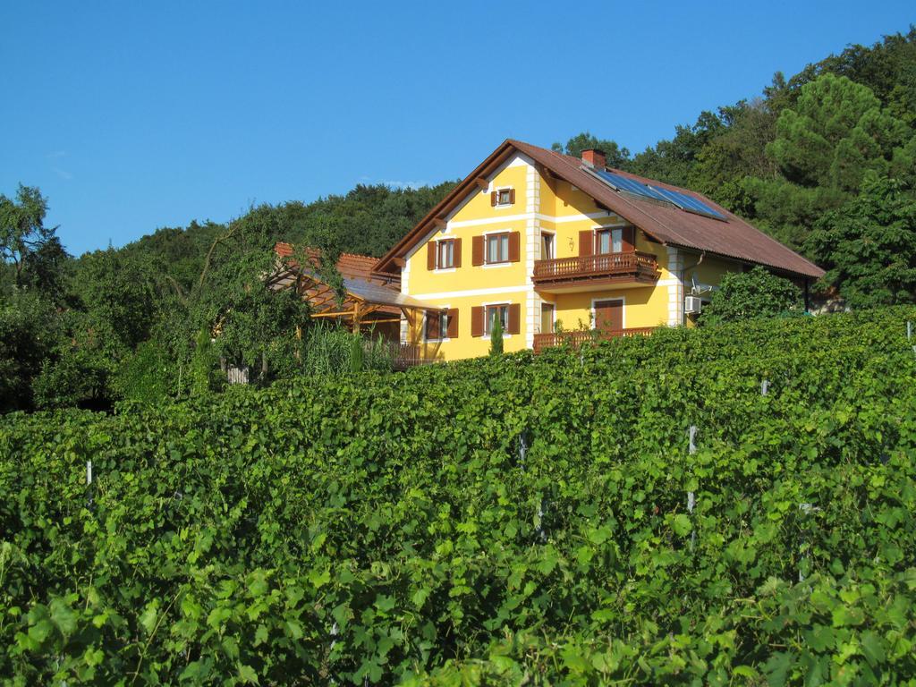 Appartement Weingut Schoberhof Bad Gleichenberg Exterior foto