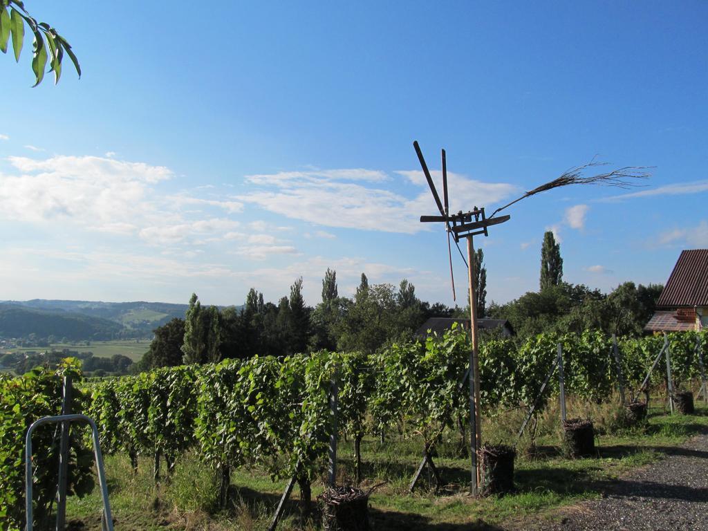 Appartement Weingut Schoberhof Bad Gleichenberg Exterior foto