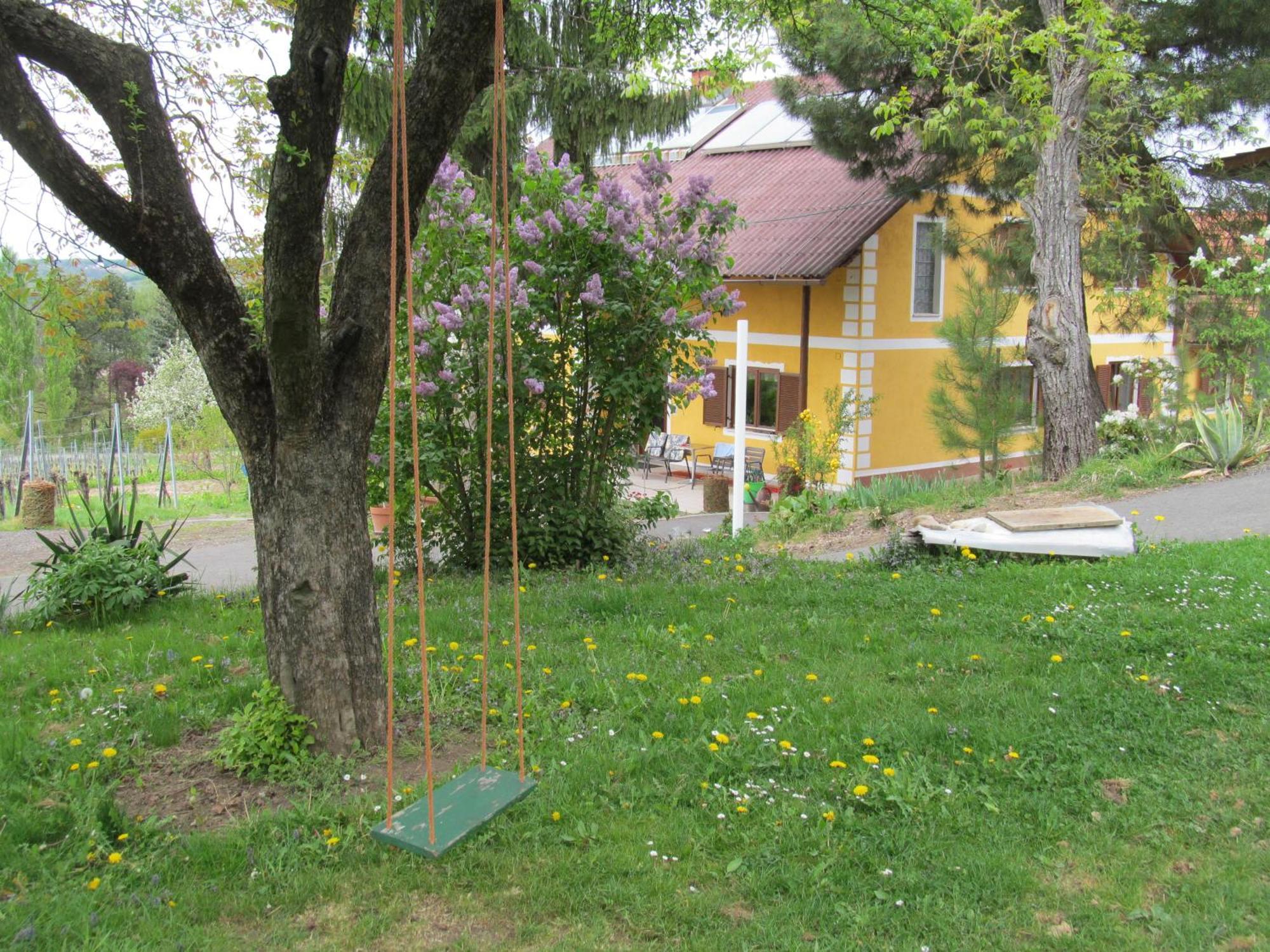 Appartement Weingut Schoberhof Bad Gleichenberg Exterior foto